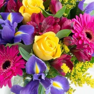 Meet your Posher, Zf